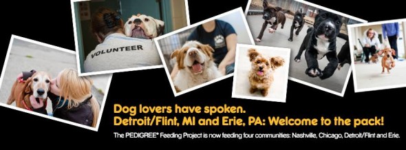 MARL Pedigree feeding project from Facebook