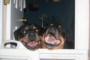 6.22.13 - Kronk3 6.22.13 Kronk3