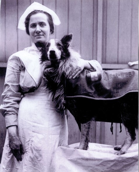 BAW Nurse with Dog 21