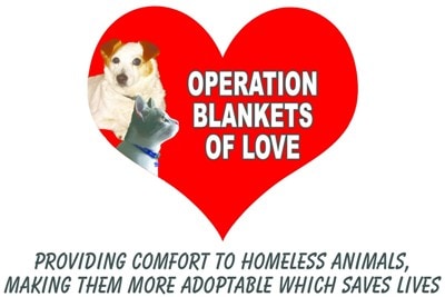 operation blankets