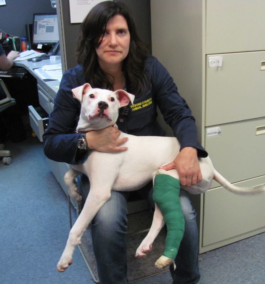 Craigslist Scam Don T Give Pets Away Online Life With Dogs