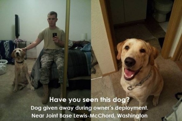 Photo Credit: Dogs on Deployment/Facebook