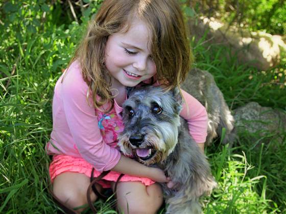 Potter started out life in a puppy mill, and could have spent his last days in a shelter.  A volunteer at an adoption event brought him home, and despite being hard of hearing, he loves playing with her children.