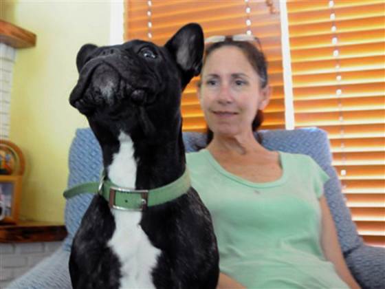 Lenny helps Susan just by being a dog - whether by his relaxing snores, or his willingness to be an arm or head rest.