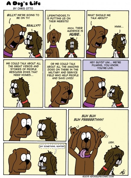 Comic courtesy of Christopher Otto of A Dog's Life