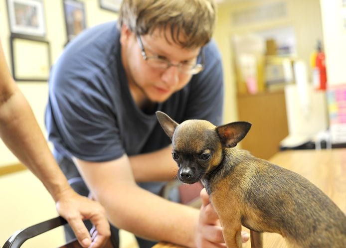 Puppy Found Abandoned in Mall Bathroom Finds a Home Life 