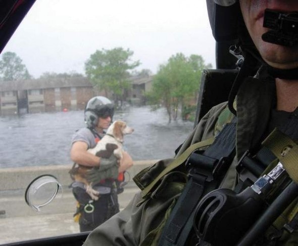 Katrina Being rescued. Photo Credit: Senior Airman Heather L. Kelly/Air Force