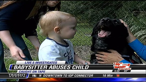 9.11.13 - Dog Detects Abusive Babysitter1