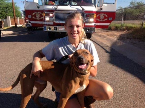9.12.13 - Dog Saves Everyone from Fire2