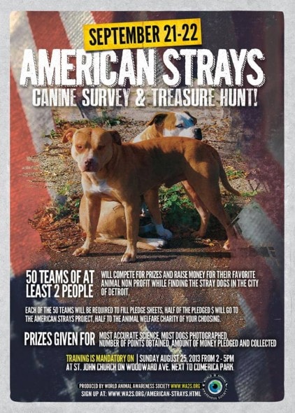 American Strays Canine Survey & Treasure Hunt