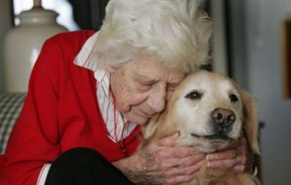 Caregiver Canine