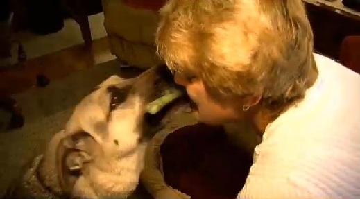 10.2.13 - Dog Saves Woman from Choking