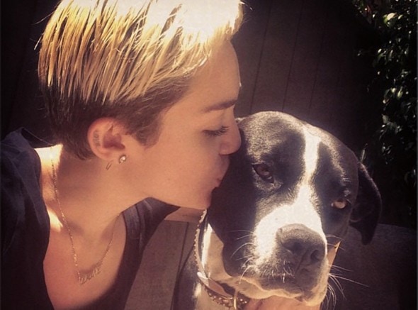 10.26.13 - Celebs and Their Dogs2