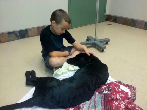 Eight-year-old Caden Cummings sits beside his puppy Loki, who was given a second chance at life thanks to firefighter Mike Day.