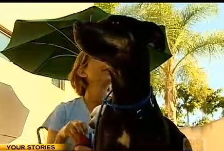 Rebecca Stevens shows Grace some affection. Photo Credit: CBS 8 News