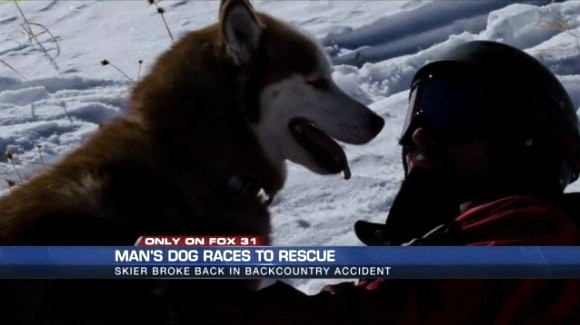 11.13.14 - Dog Saves Skier in Accident2