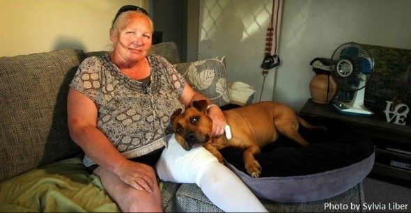 11.2.13 - Pit Bull Saves Woman from Attack