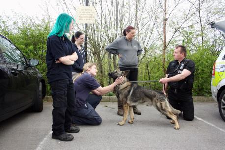 Chance with handler PC Mick Kilburn and RSPCA staff  (Photo by Lozzzy Photography).