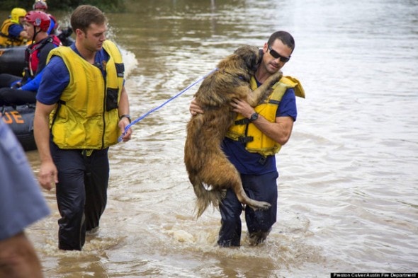 11.22.13 - Flood Dog Reunited3