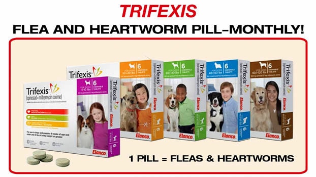 Owners Claim Trifexis Is Killing Their Dogs LIFE WITH DOGS elanco-rebates-trifexis-elancorebates