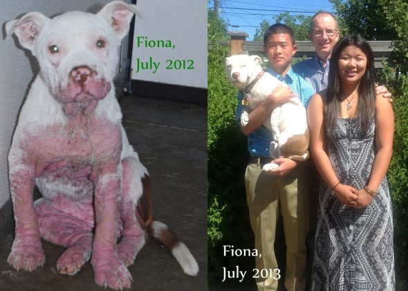 11.6.13 - Dogs & Owners - Then and Now4