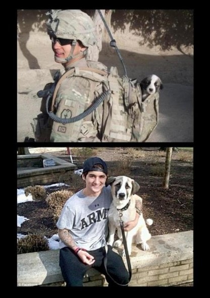 11.6.13 - Dogs & Owners - Then and Now6