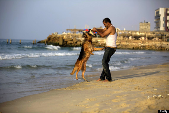 PALESTINIAN-GAZA-ANIMALS