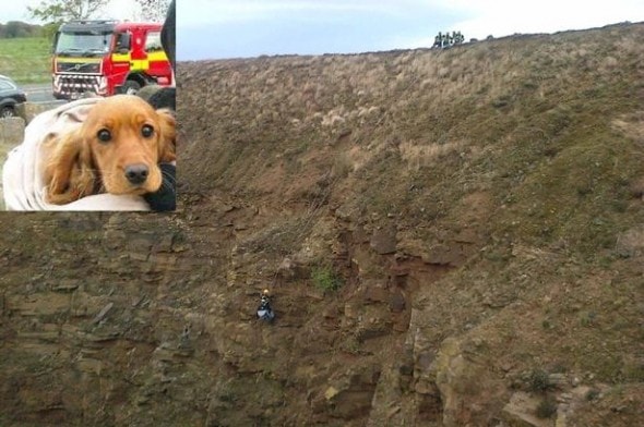 Hero firefighter rescuing Ruby from the quarry's ledge.