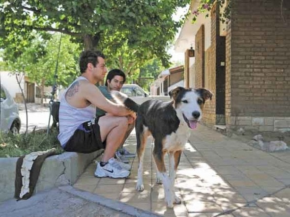 Patán the hero dog poses with his owner's son in Buenos Aires Argentina.