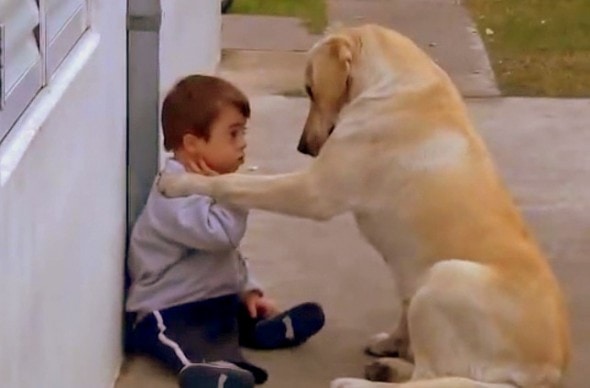 12.12.13 - Dog Befriends Down Syndrome Boy2