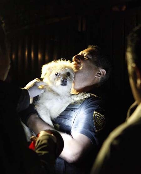 Authorities removing pets.Photo Credit: El Universal and Mundo Patitas
