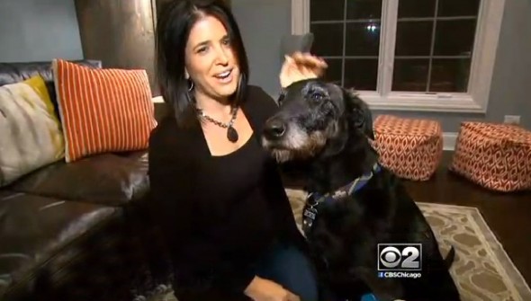 A woman in Poland helps reunited Amy Silverman with her dog Bryce back in Highland Park, Ill.