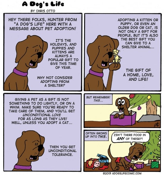 A dog's life comic