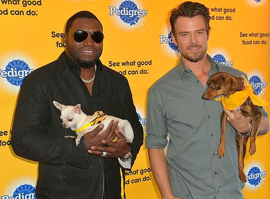 1.23.14 - Celebrities & Shelter Dogs1