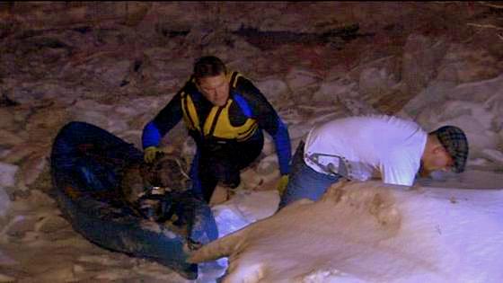 1.31.14 - Strangers Rescue Stranded Delaware Dog1