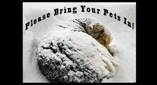 1.4.13 - Bring Pets Inside