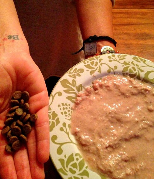 At the puppy mill, breeders don't care if we have no teeth or jaws - we only get hard kibble.  Mom mixes my raw food with water for a yummy soup.