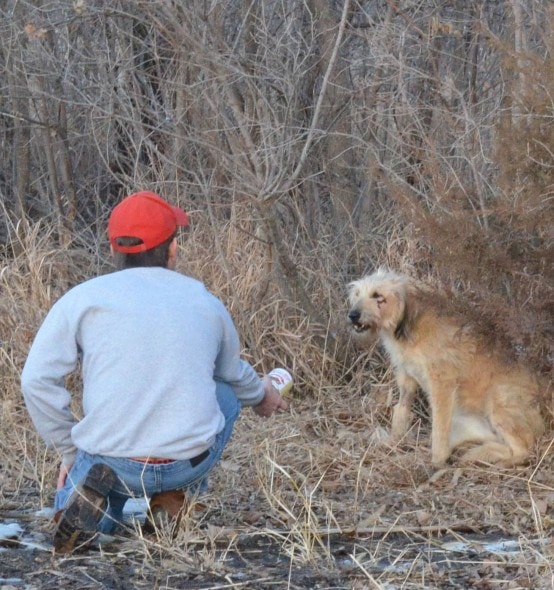 HUA volunteer rescuing Eve. Photo Credit: Hearts United for Animals