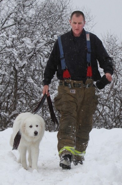 Firefighter Jim Burke reunites Cooper with his family. Photo Credit: Mike Springer/Gloucester Daily Times