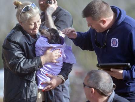 One of the three dogs rescued by Reidville firefighters. Photo Credit: Michael Justus/shj.com