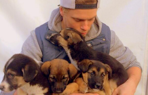 2.13.14 - US Skier Adopting Sochi Puppies1