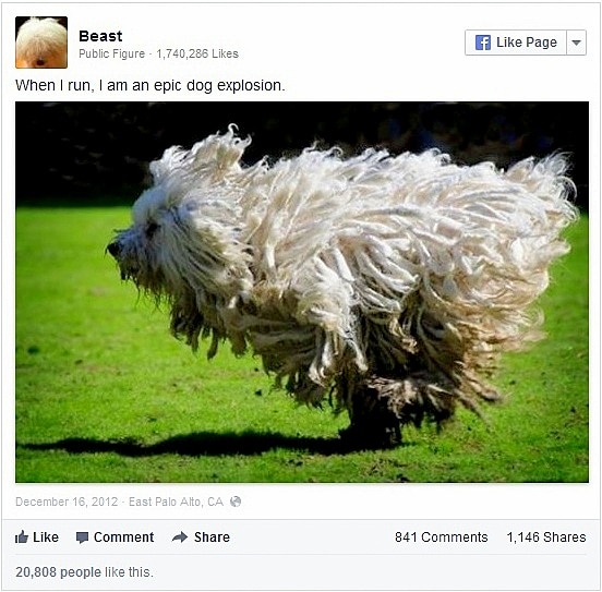 2.5.14 - Zuckerberg's Dog Beast Rules Facebook1