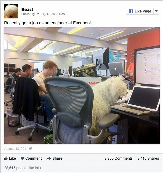 2.5.14 - Zuckerberg's Dog Beast Rules Facebook4