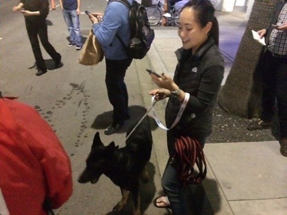 Neska and her owner, Cecilia Pang, reunite after the fire. Photo Credit: Kevin Fagan, San Francisco Chronicle 