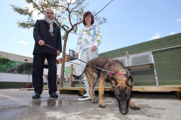 Alicia overcomes her dog phobia. Photo Credit: Alicante Actualidad