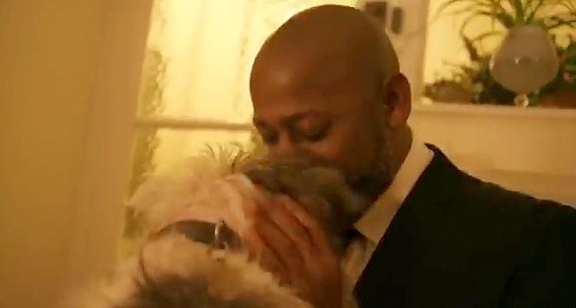 This Ad Is Proof that Dogs Make Everything Better - LIFE WITH DOGS