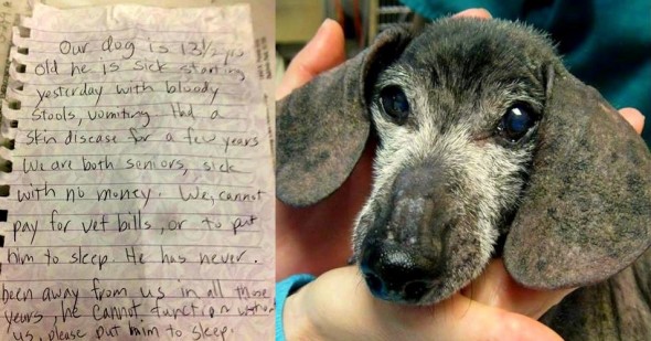 3.13.14 - Senior Dog Left with Note to Be Returned1