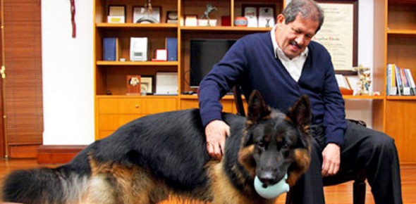 3.21.14 - Colombian VP Declines Position for Dog's Sake1
