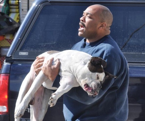 Morristown firefighter Dana Lee carrying Darius to safety.  Photo Credit: The Times Herald