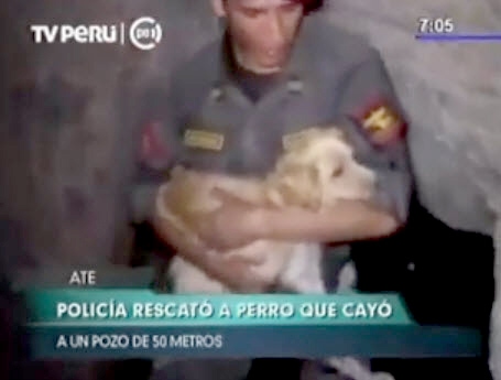 Peruvian officers rescue Bobby after he fell into a deep well. Photo Credit: Diario Correo Peru.